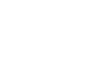 Jahn Immobilien 38